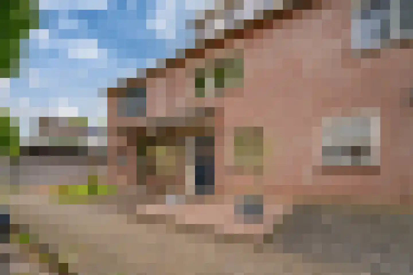 Kronenland 1231 Wijchen thumbnail 32