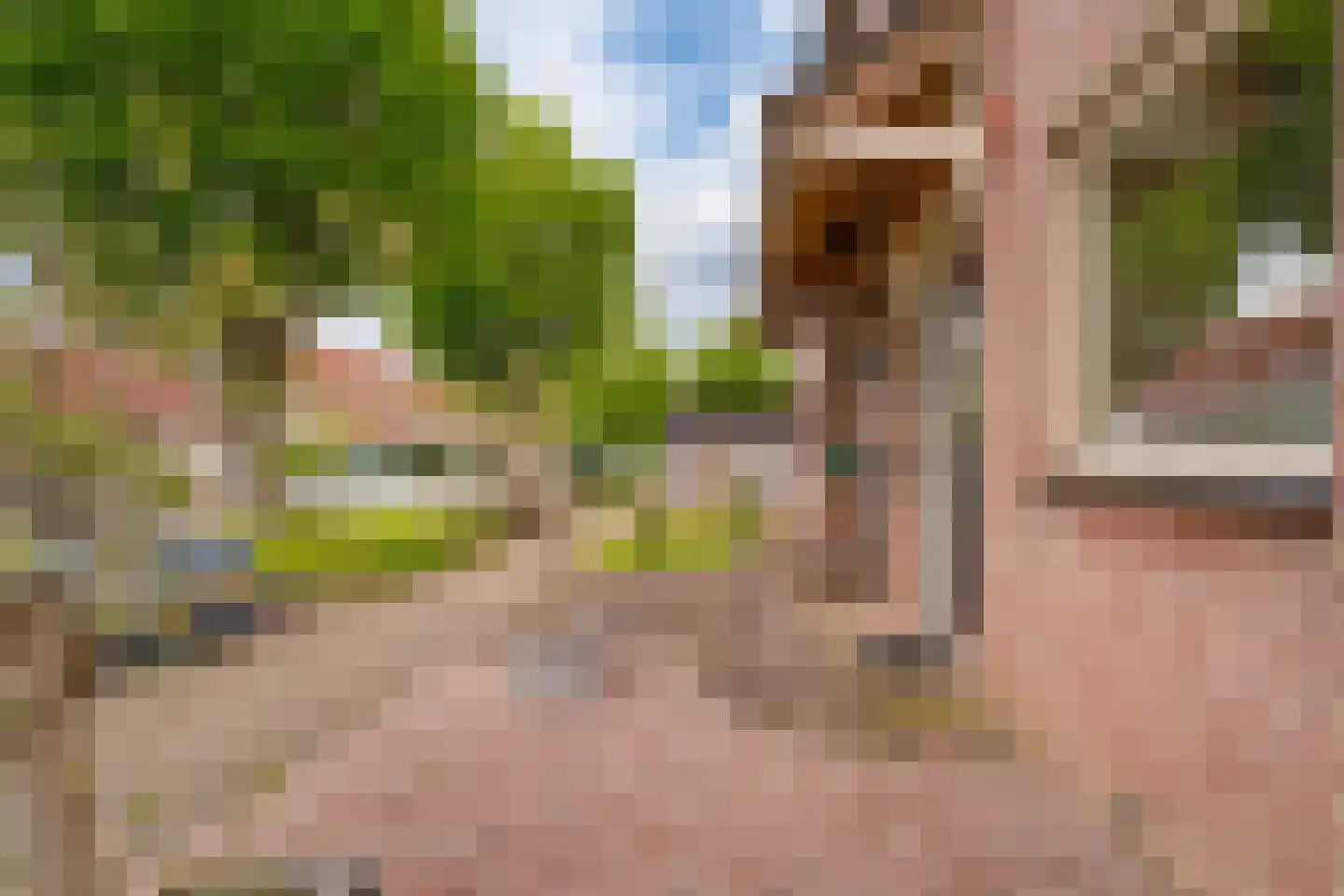 Kronenland 1231 Wijchen thumbnail 33