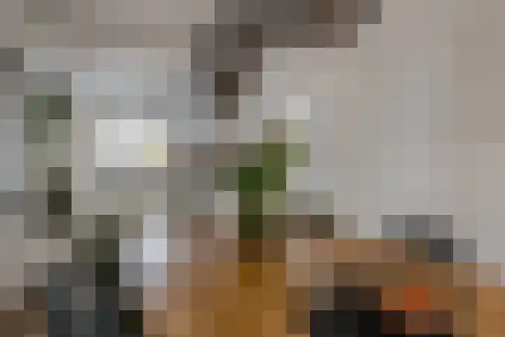 Kronenland 1243 Wijchen thumbnail 12