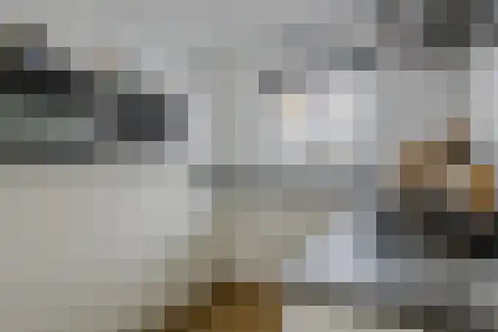 Kronenland 1243 Wijchen thumbnail 13