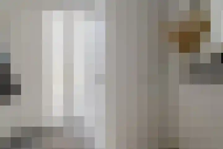 Kronenland 1243 Wijchen thumbnail 16