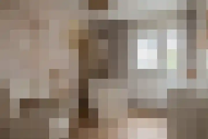 Kronenland 1243 Wijchen thumbnail 20