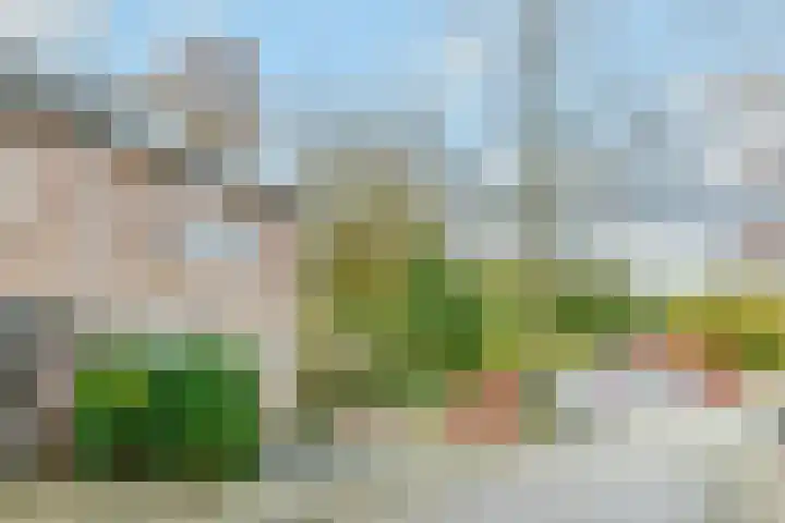 Kronenland 1243 Wijchen thumbnail 38