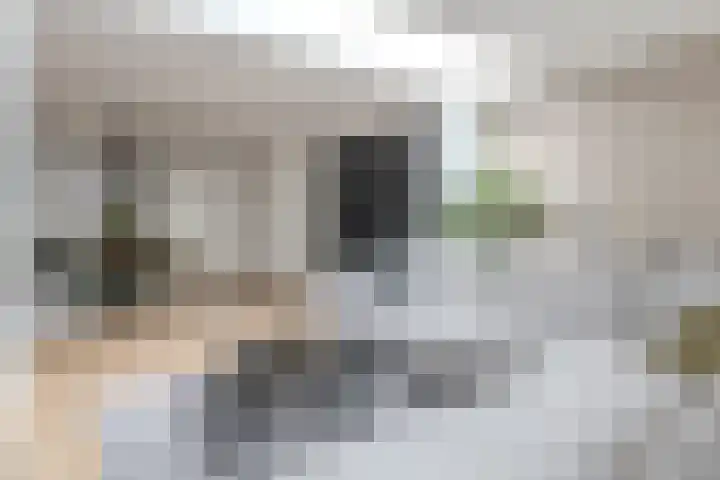 Kronenland 1243 Wijchen thumbnail 6