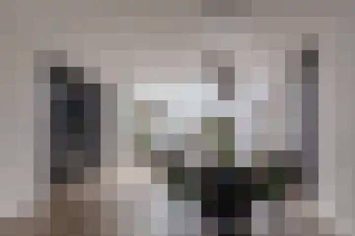 Kronenland 1243 Wijchen thumbnail 9