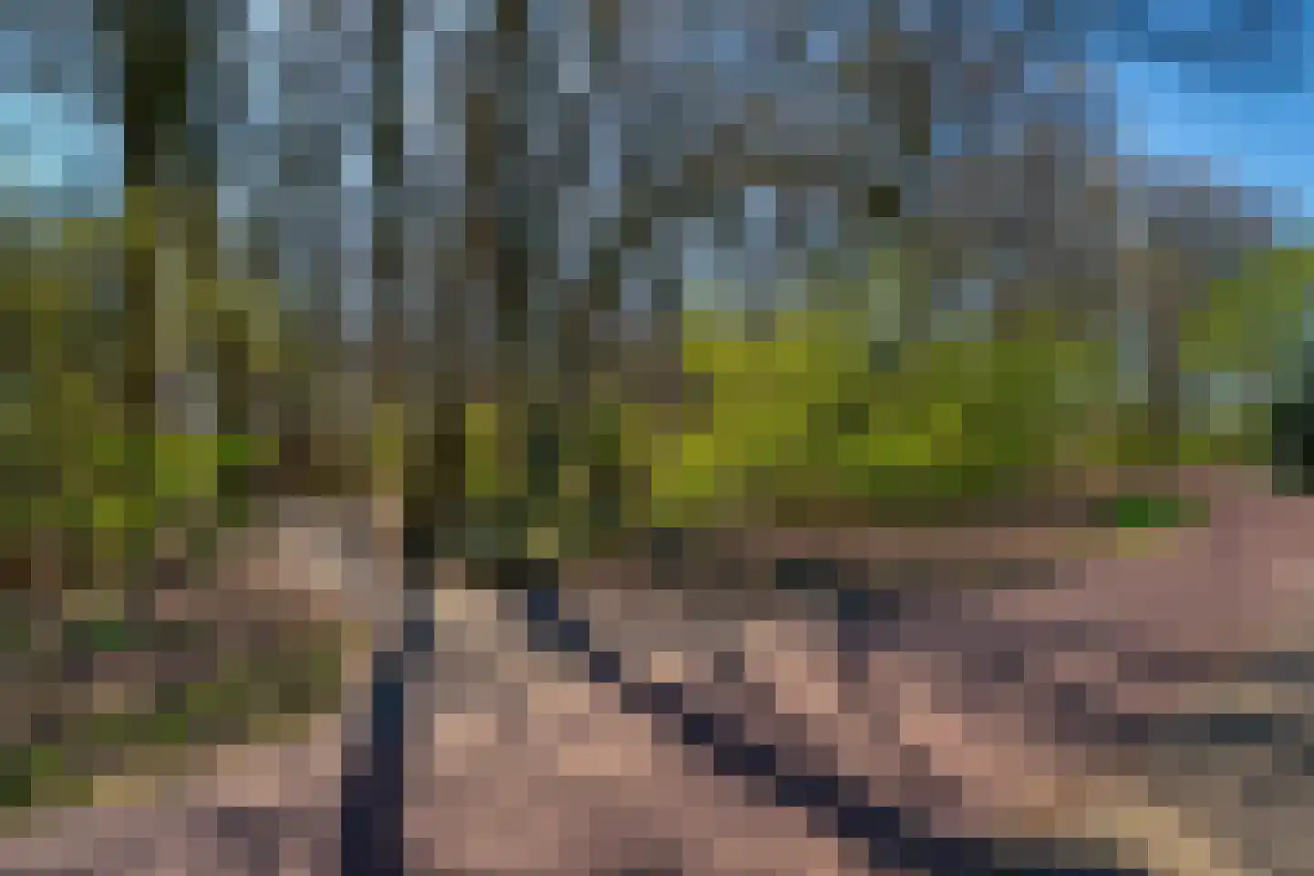 Kronenland 1406 Wijchen thumbnail 19