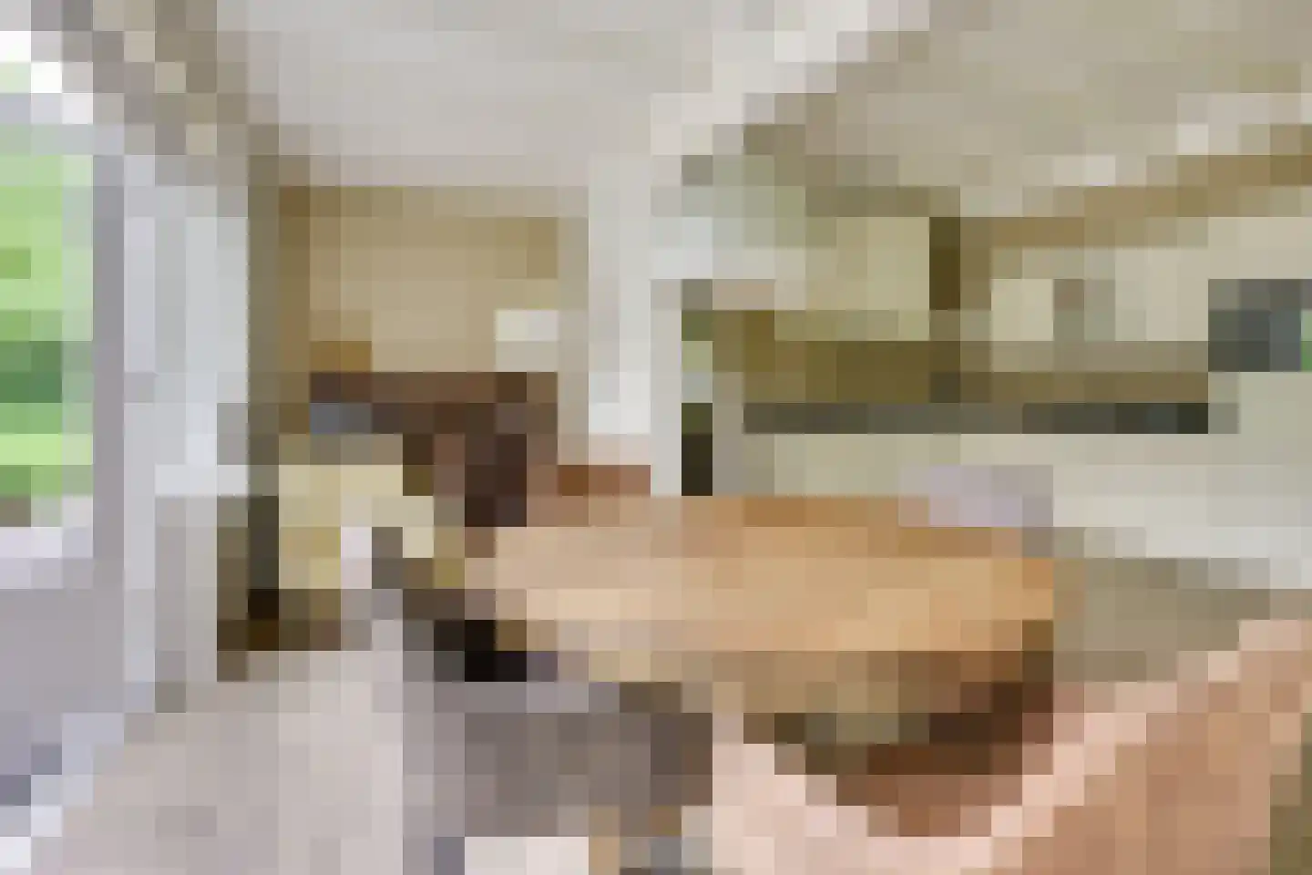 Krönerweg 30 Maarn thumbnail 11
