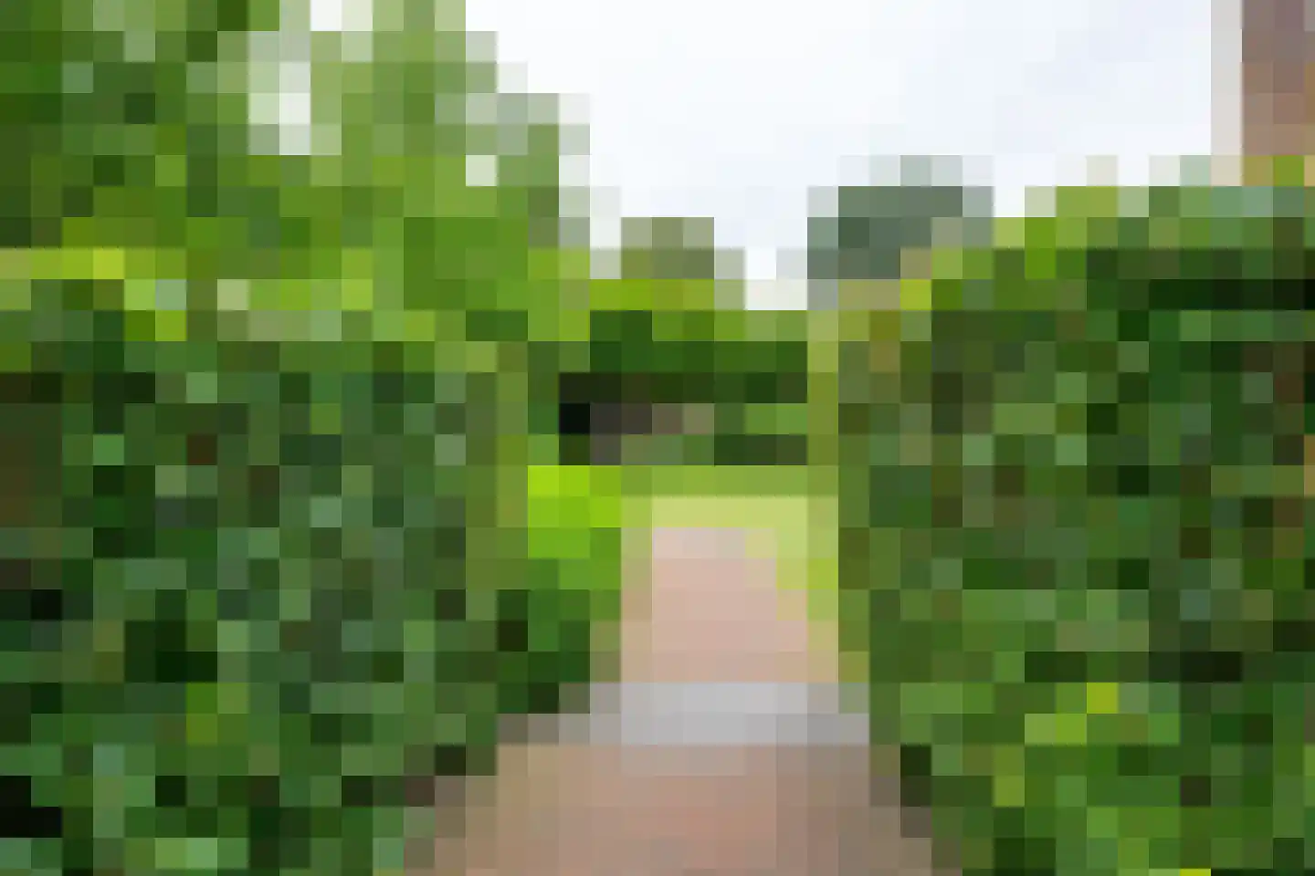 Krönerweg 30 Maarn thumbnail 16