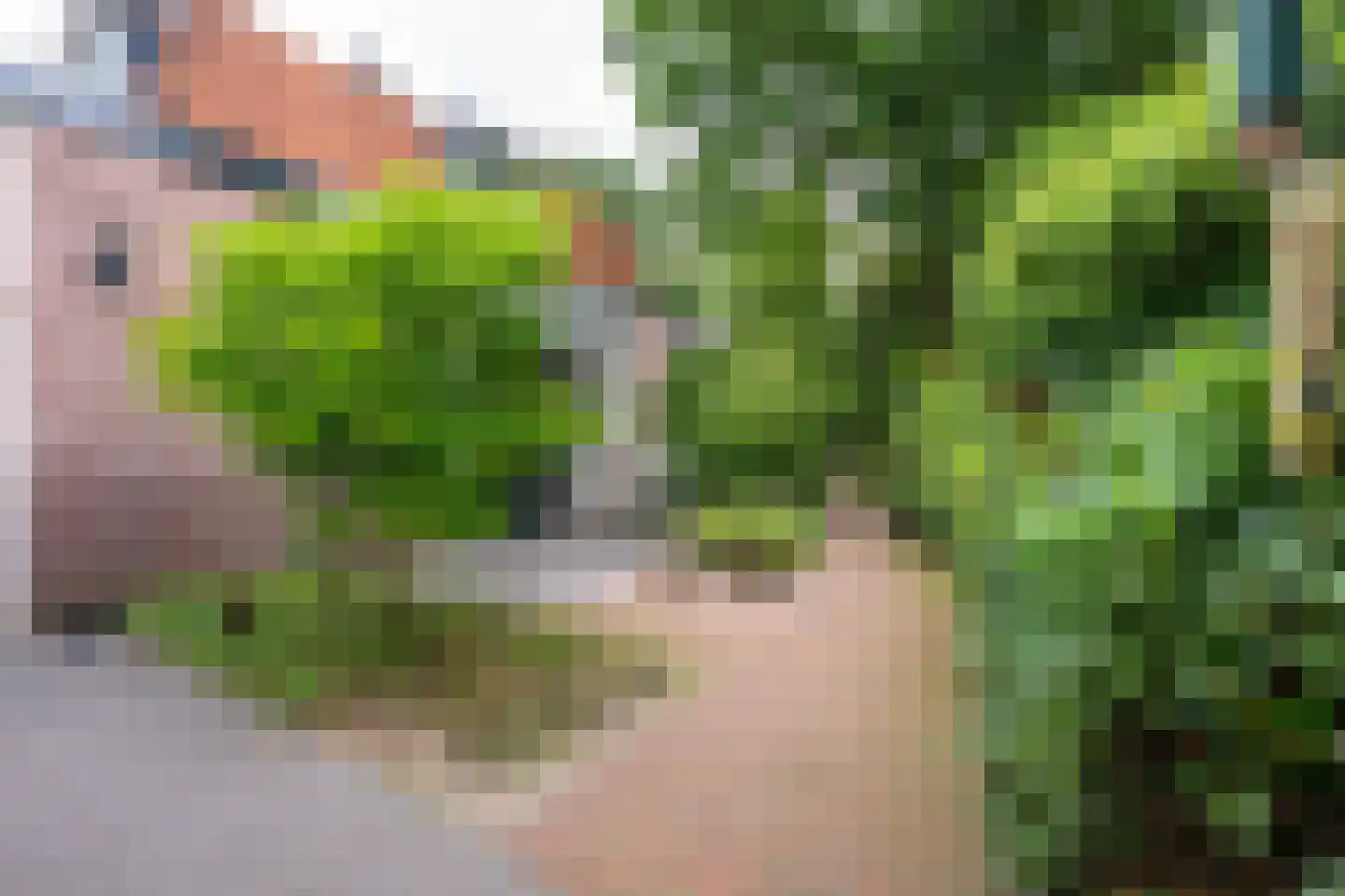Krönerweg 30 Maarn thumbnail 17