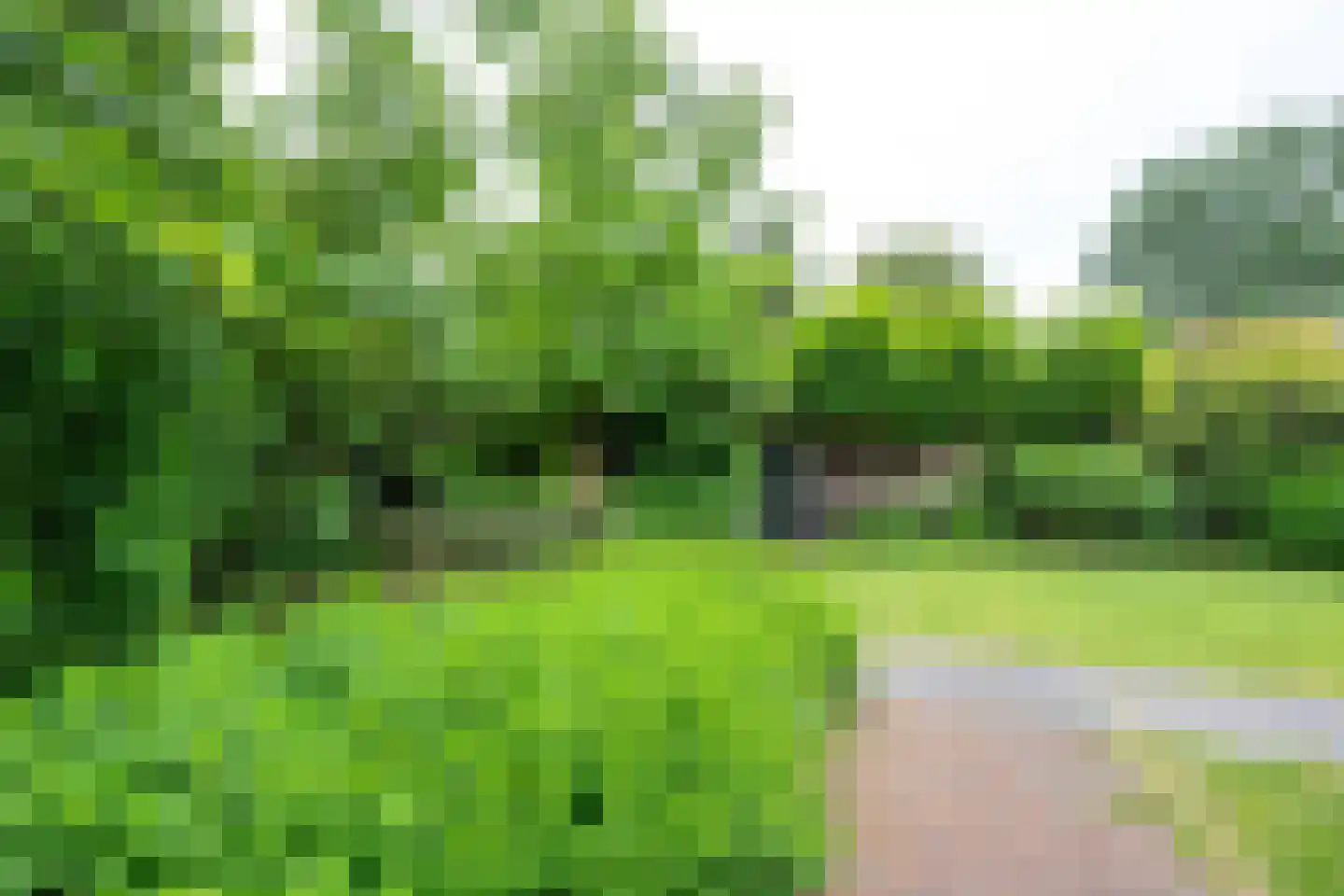 Krönerweg 30 Maarn thumbnail 18