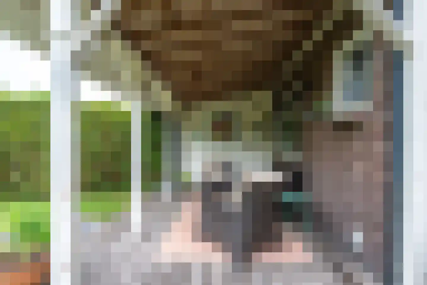 Krönerweg 30 Maarn thumbnail 21