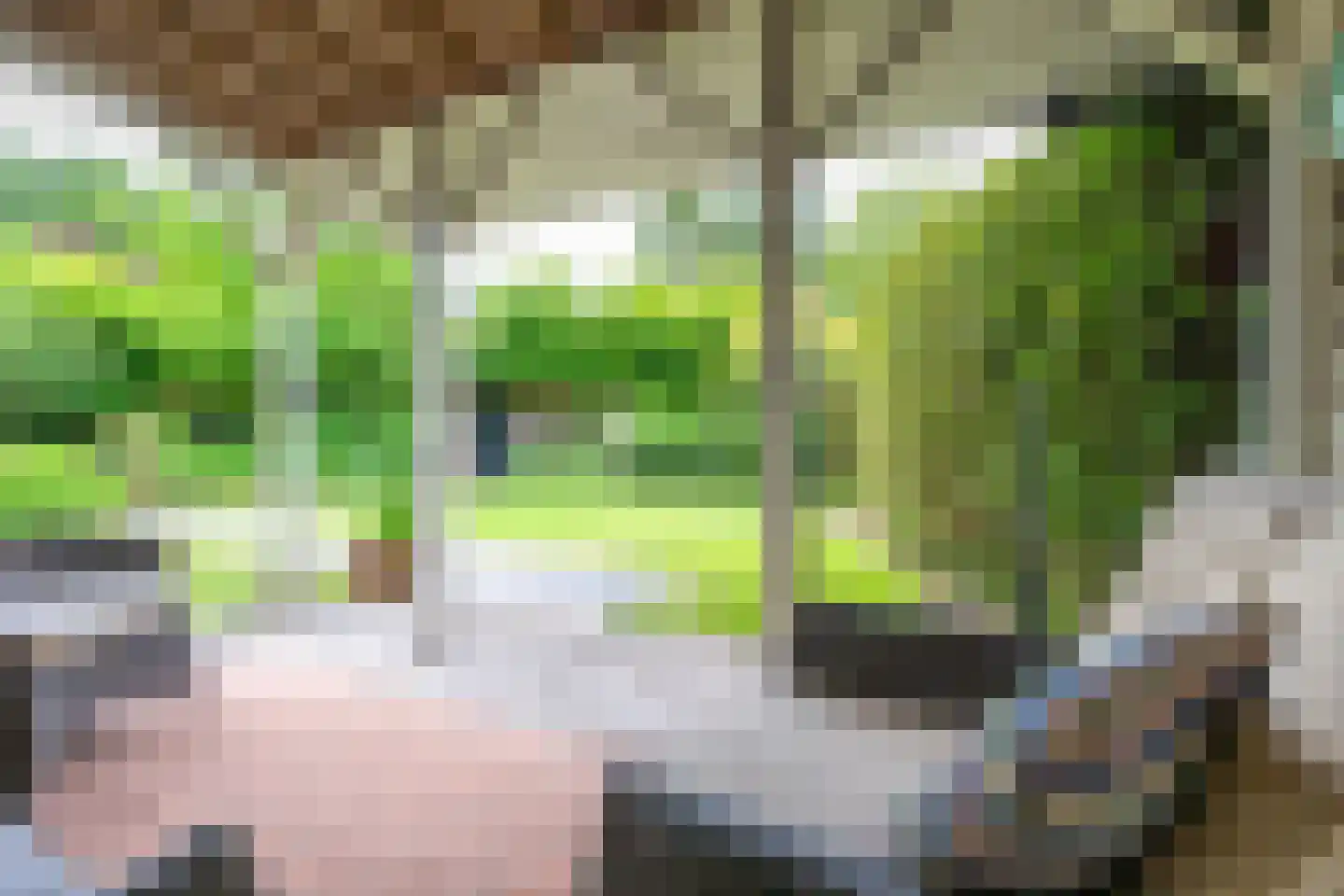 Krönerweg 30 Maarn thumbnail 22