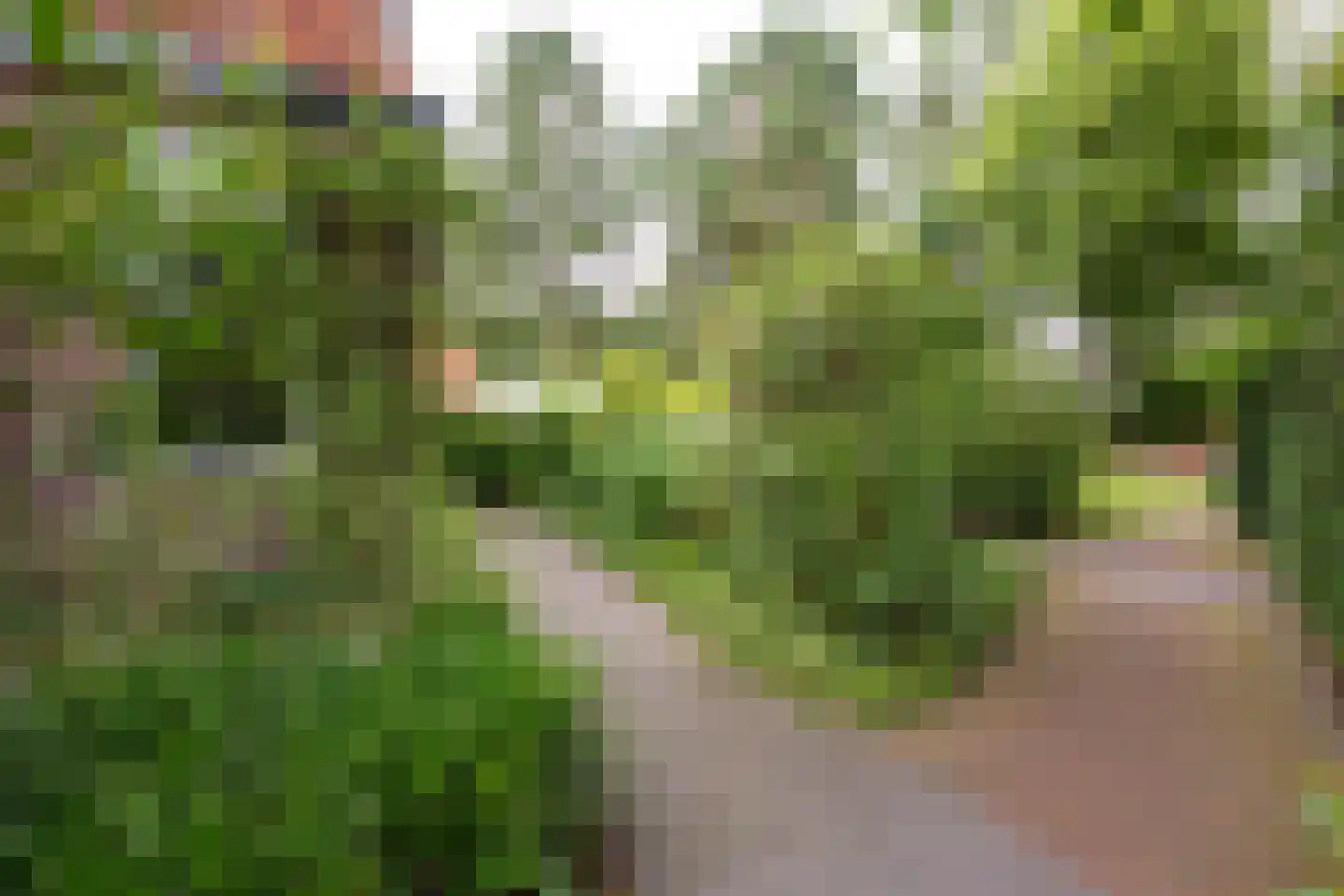Krönerweg 30 Maarn thumbnail 32