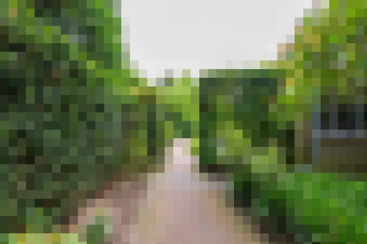 Krönerweg 30 Maarn thumbnail 34