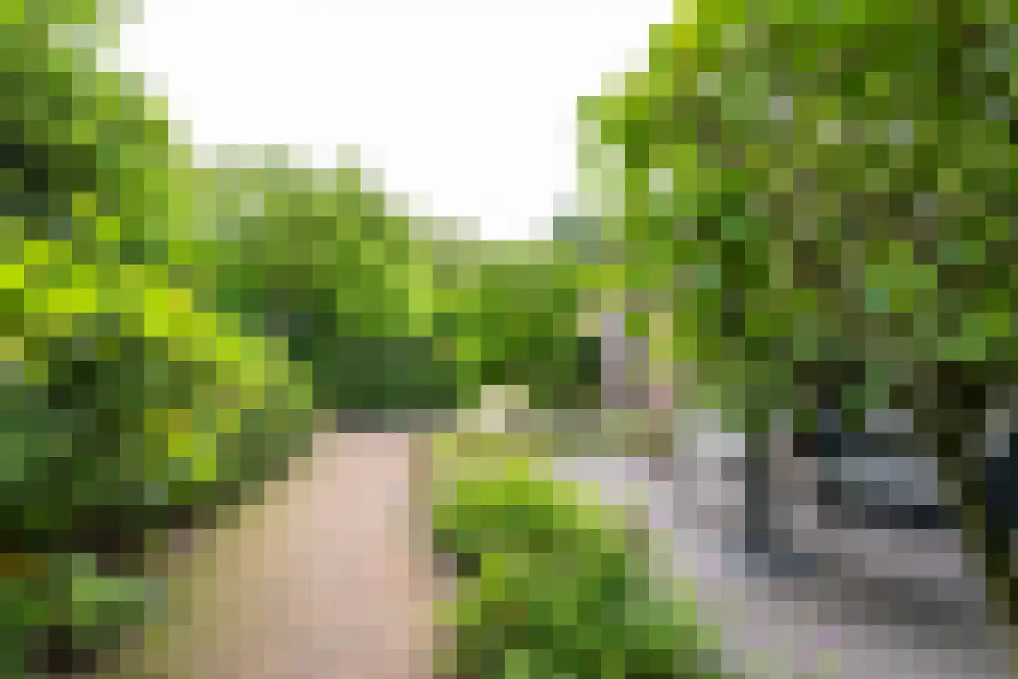 Krönerweg 30 Maarn thumbnail 36