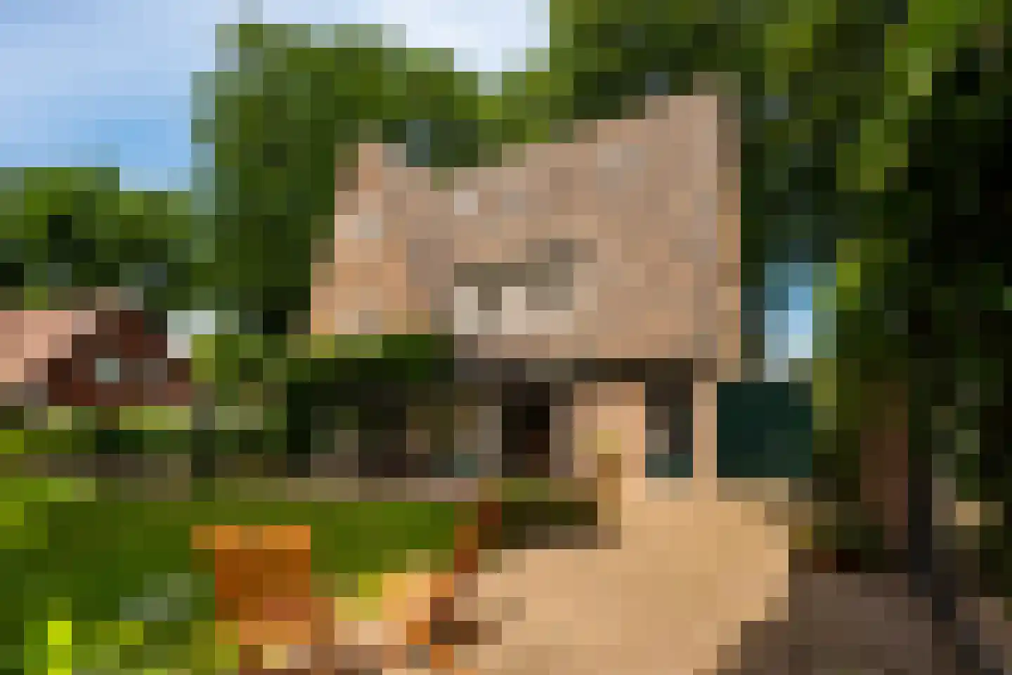 Kroningslaan 11 Baarn thumbnail 33
