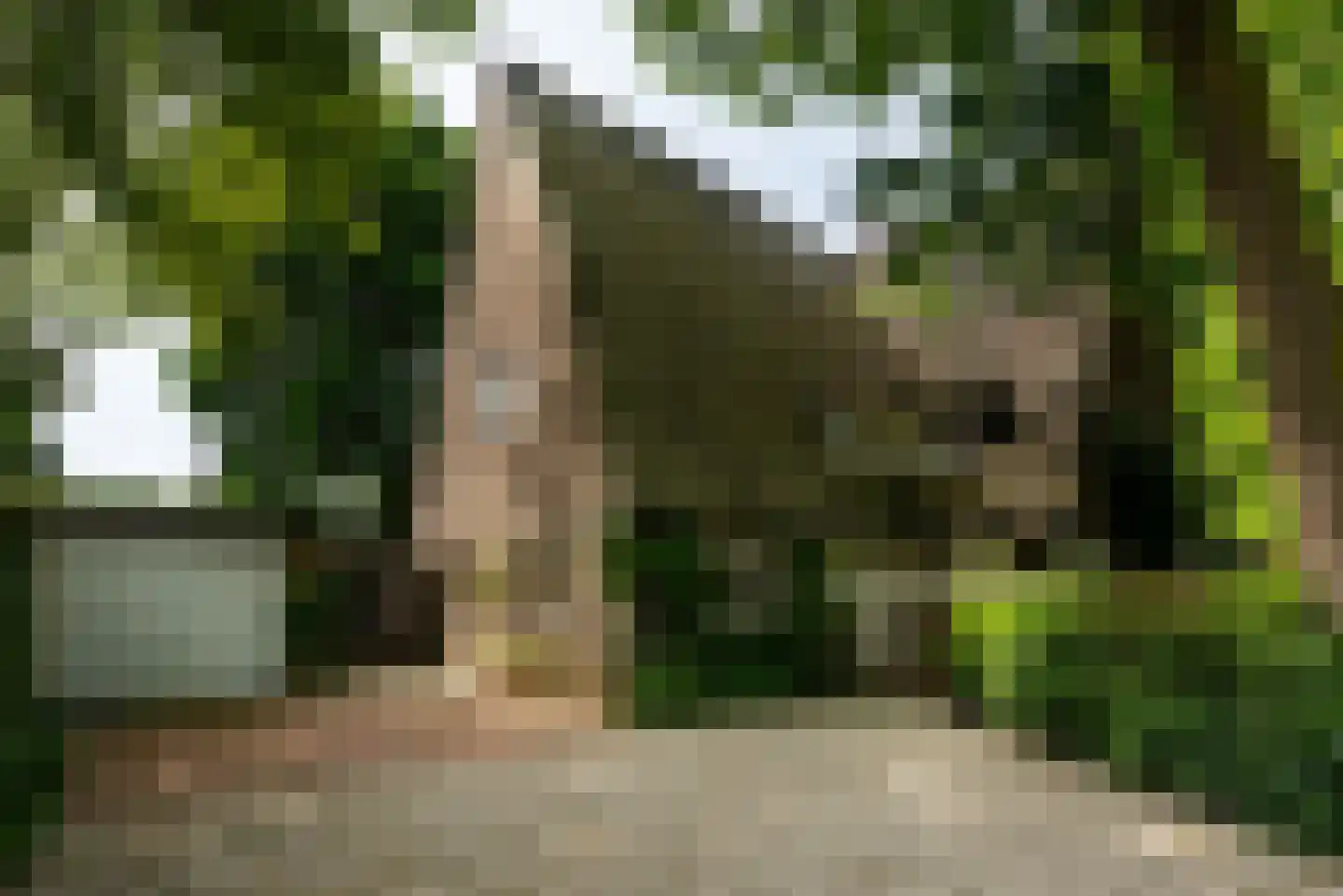 Kroningslaan 11 Baarn thumbnail 35