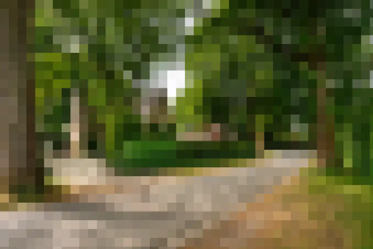 Kroningslaan 11 Baarn thumbnail 37