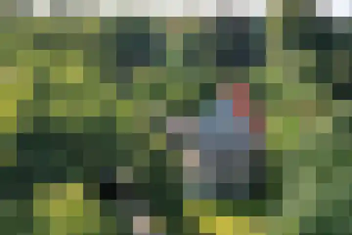 Kroningslaan 5 Baarn thumbnail 28