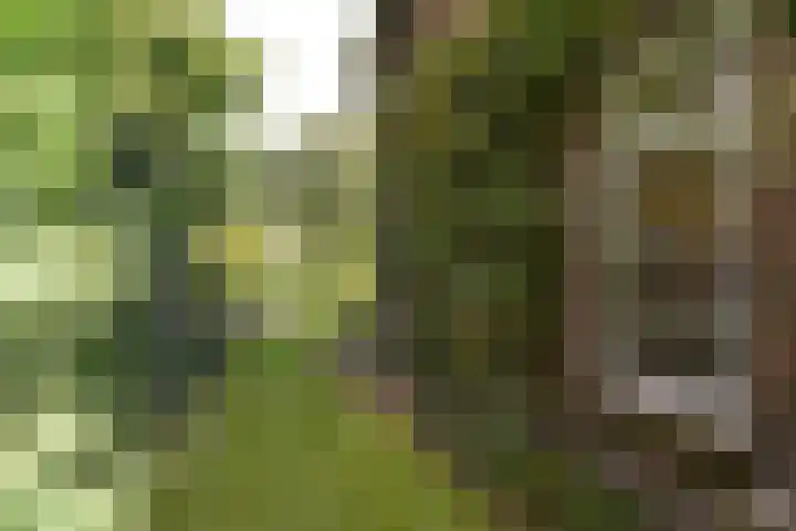 Kroningslaan 5 Baarn thumbnail 33