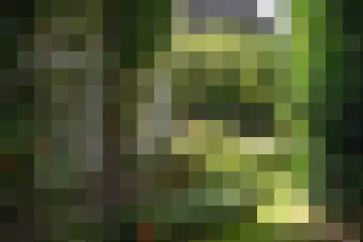 Kroningslaan 5 Baarn thumbnail 34
