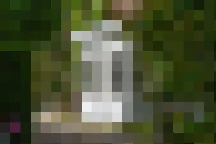 Kroningslaan 5 Baarn thumbnail 35