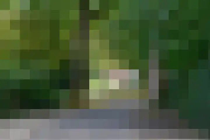 Kroningslaan 5 Baarn thumbnail 36