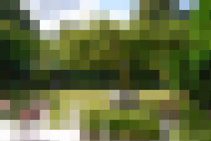 Kroningslaan 5 Baarn thumbnail 4