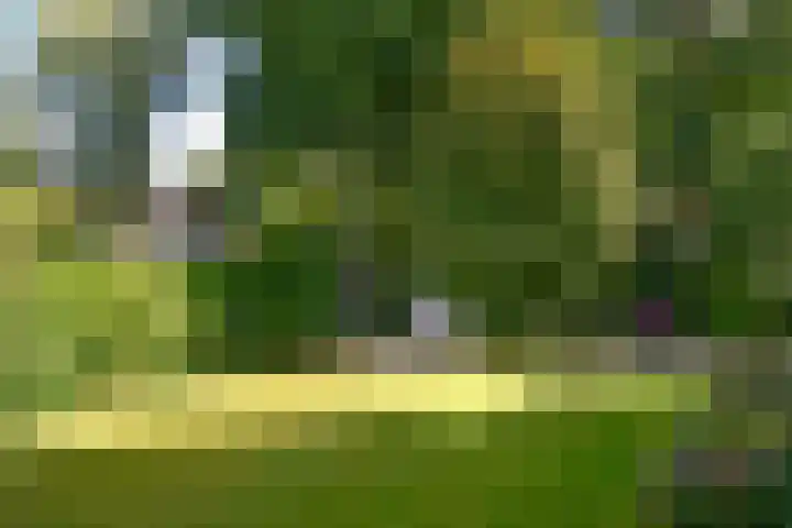 Kroningslaan 5 Baarn thumbnail 6