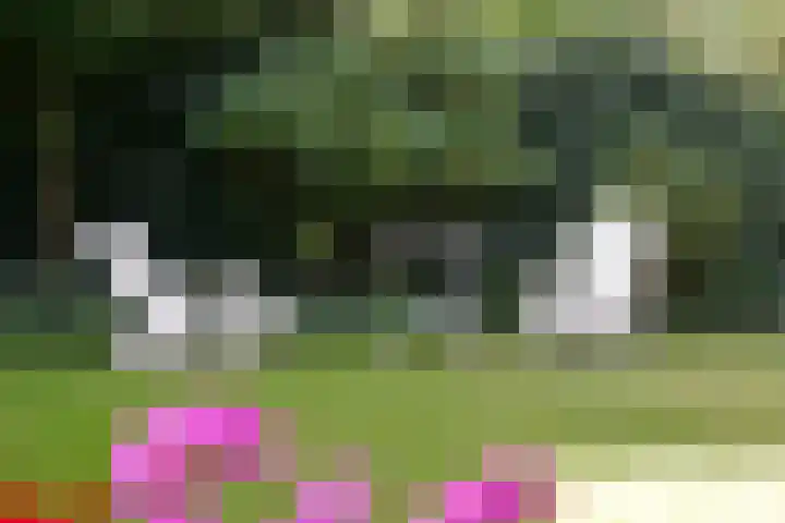 Kroningslaan 5 Baarn thumbnail 7