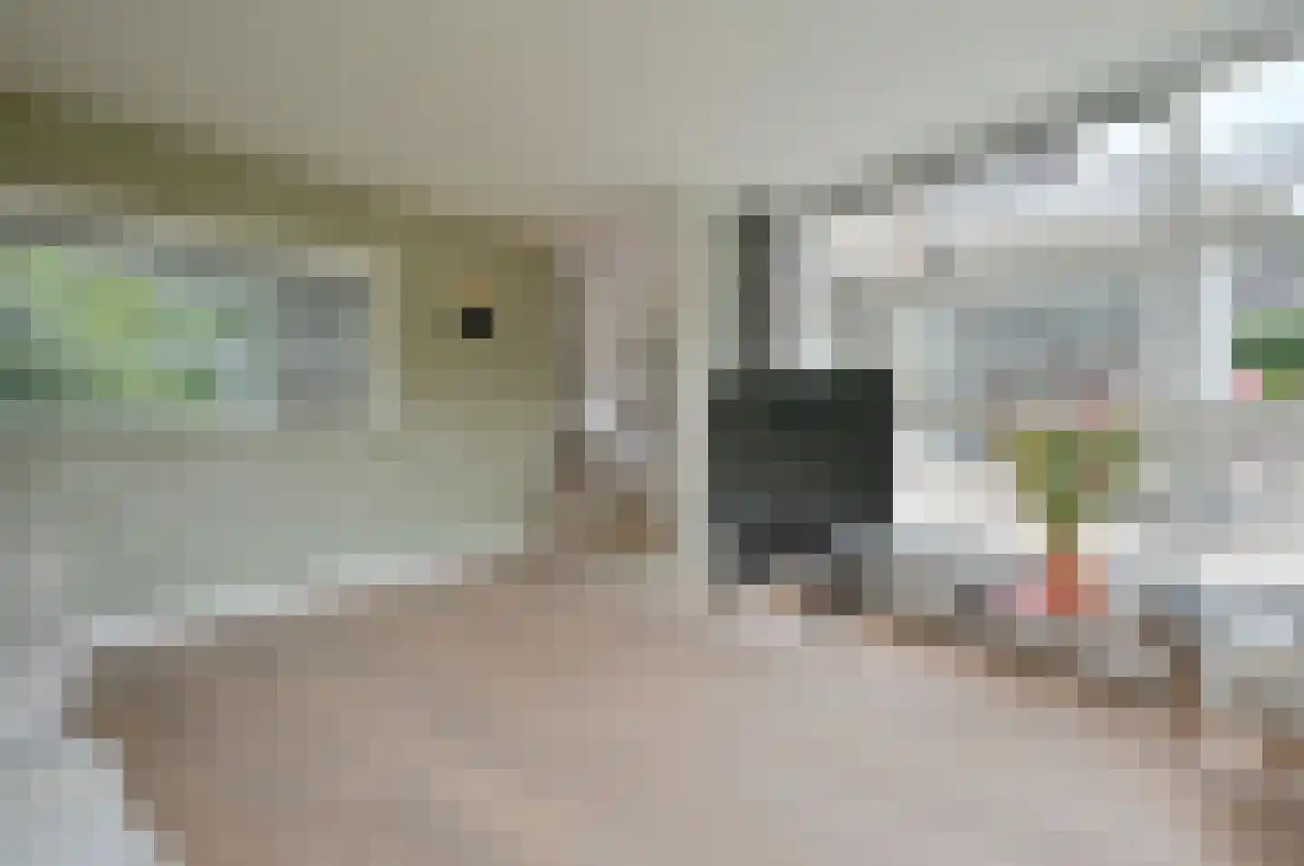 Kroningslaan 9 Baarn thumbnail 11