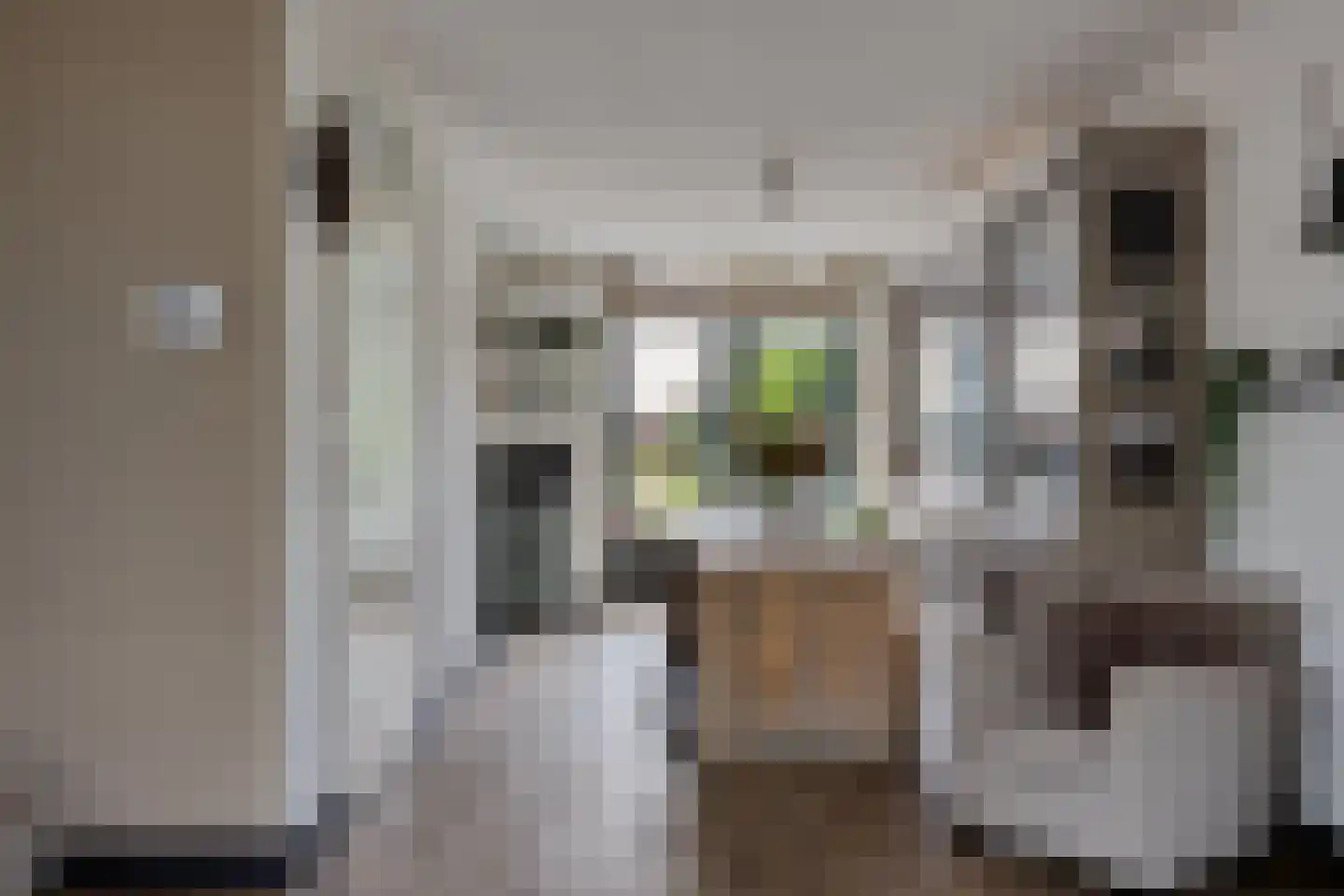 Kronkelbaan 18 Abbekerk thumbnail 12
