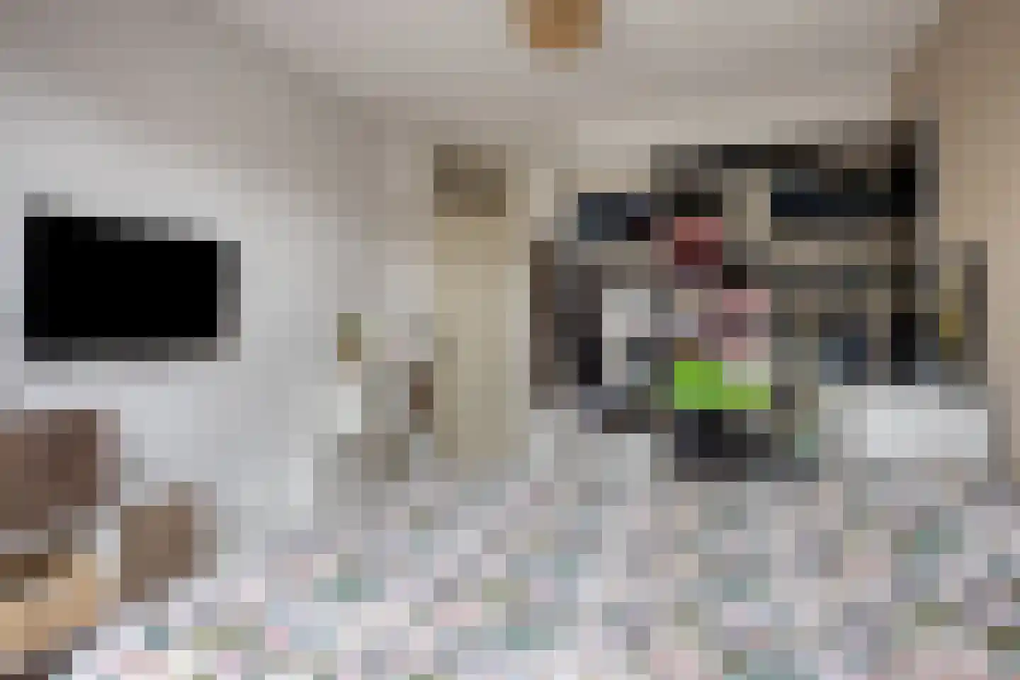Kronkelbaan 18 Abbekerk thumbnail 22