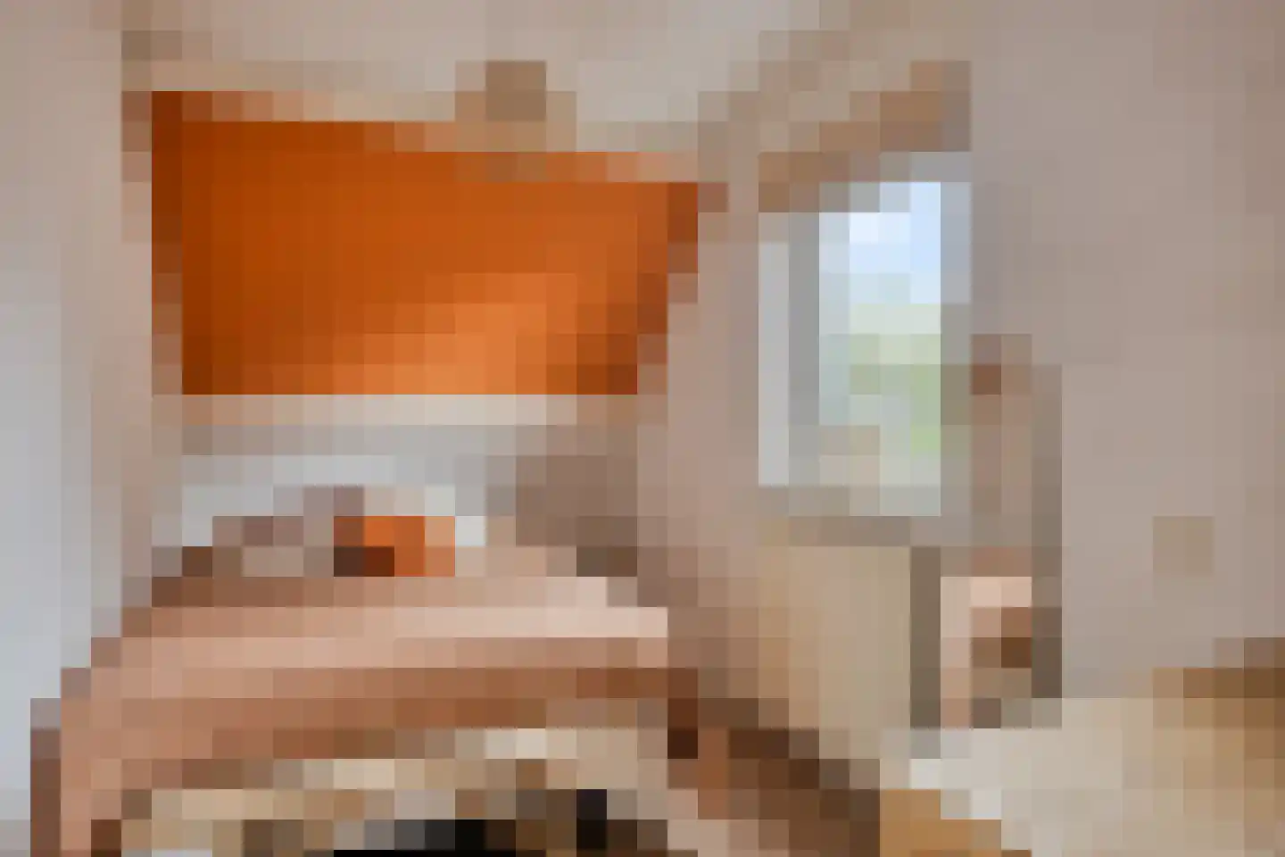 Kronkelbaan 18 Abbekerk thumbnail 25