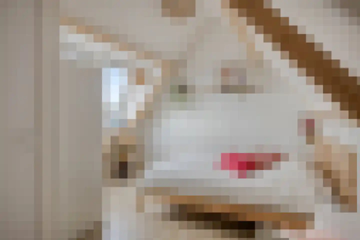 Kronkelbaan 18 Abbekerk thumbnail 28