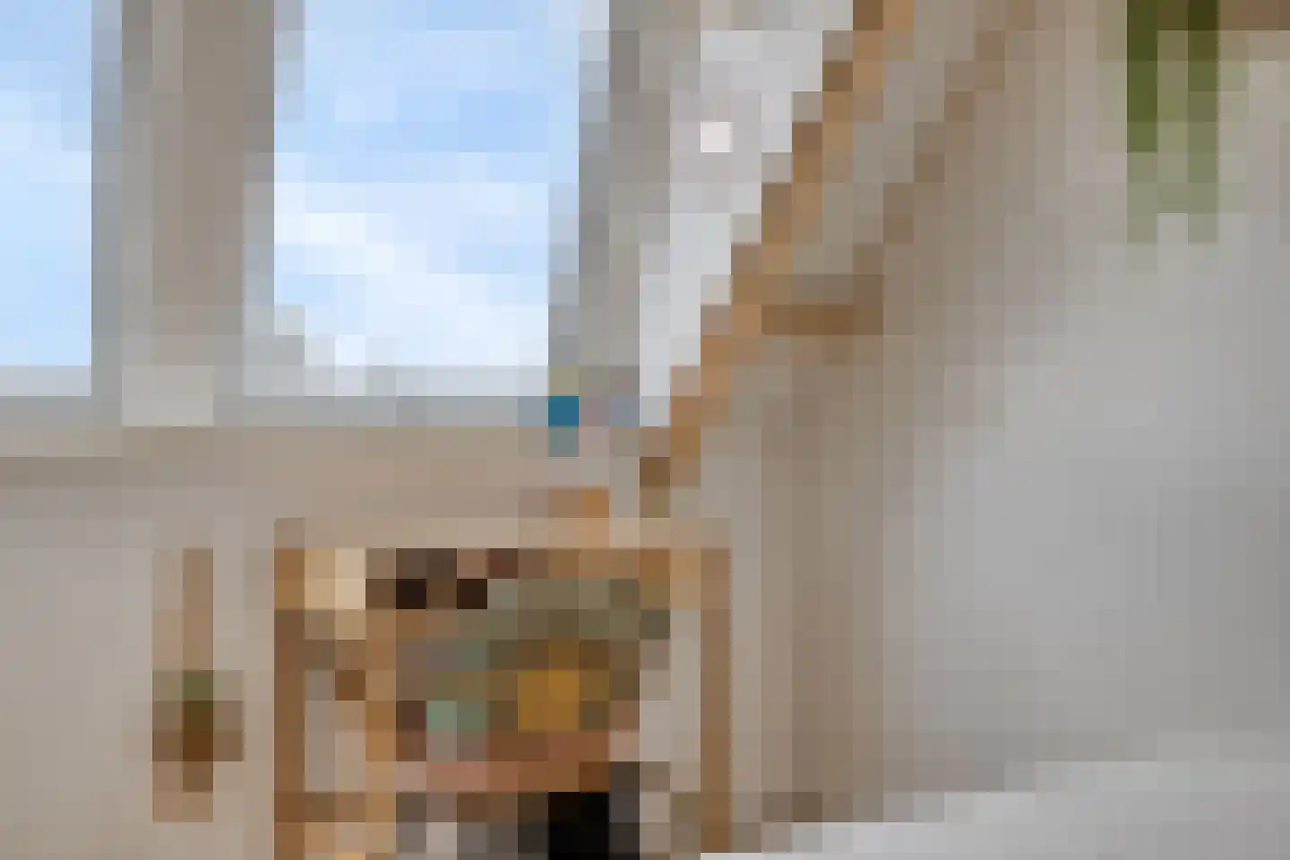 Kronkelbaan 18 Abbekerk thumbnail 29
