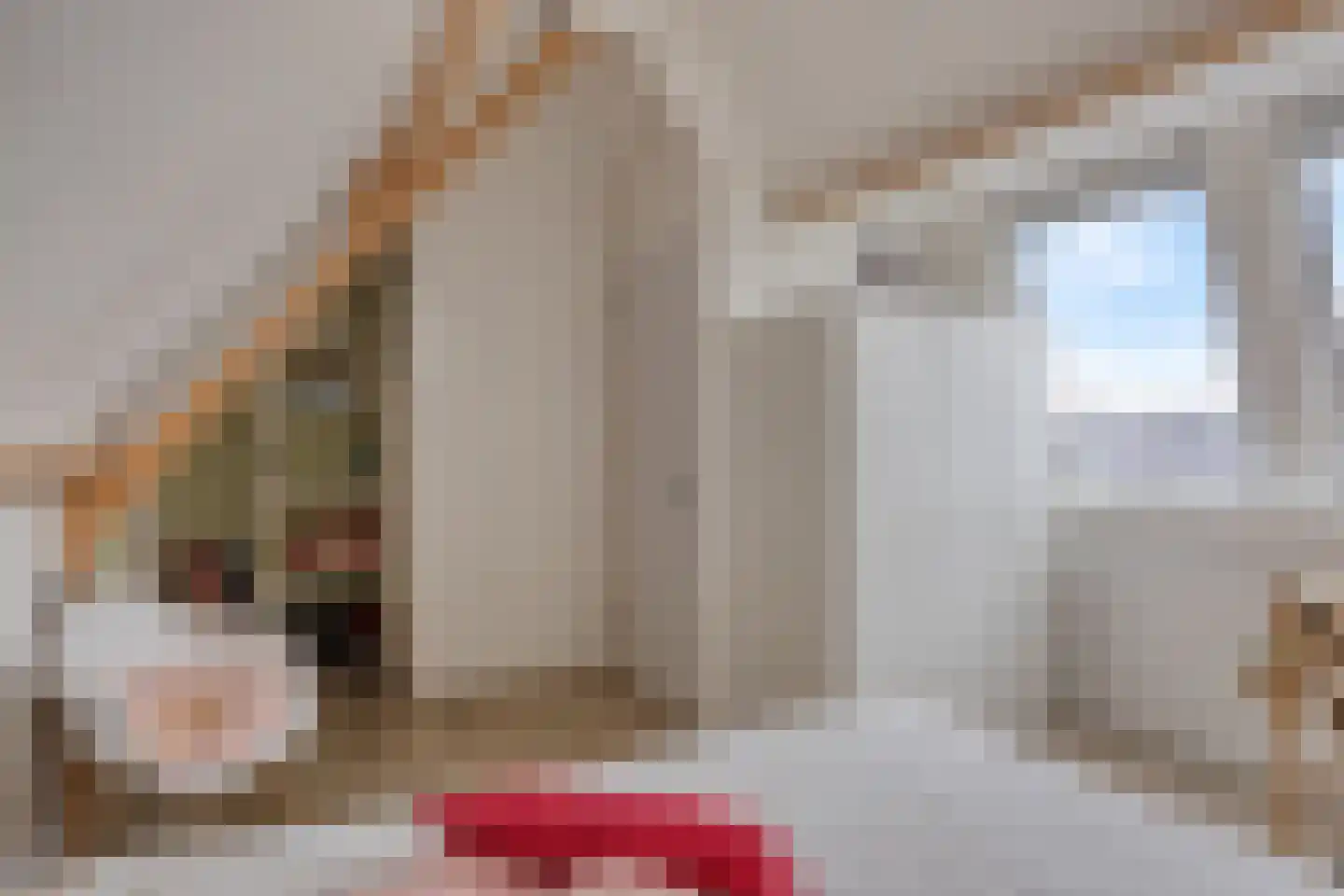 Kronkelbaan 18 Abbekerk thumbnail 30