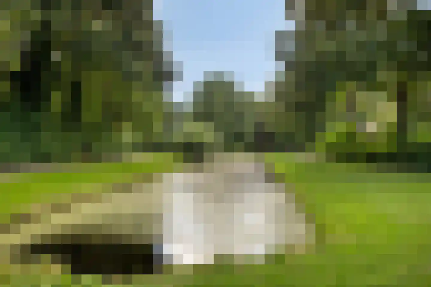 Kronkelbaan 18 Abbekerk thumbnail 42