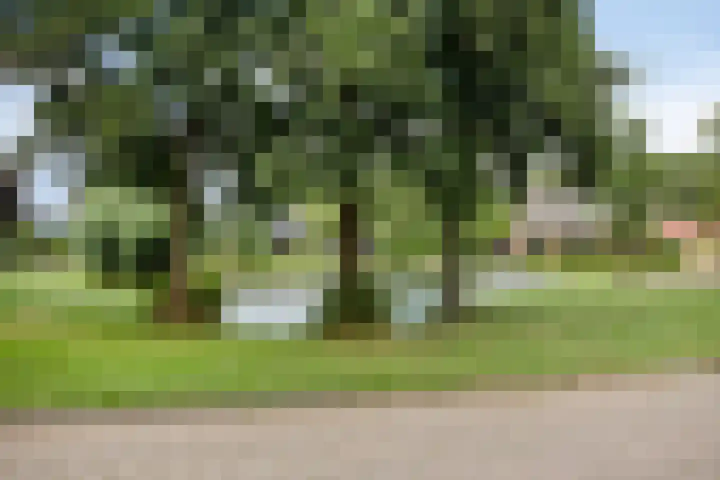 Kronkelbaan 18 Abbekerk thumbnail 43