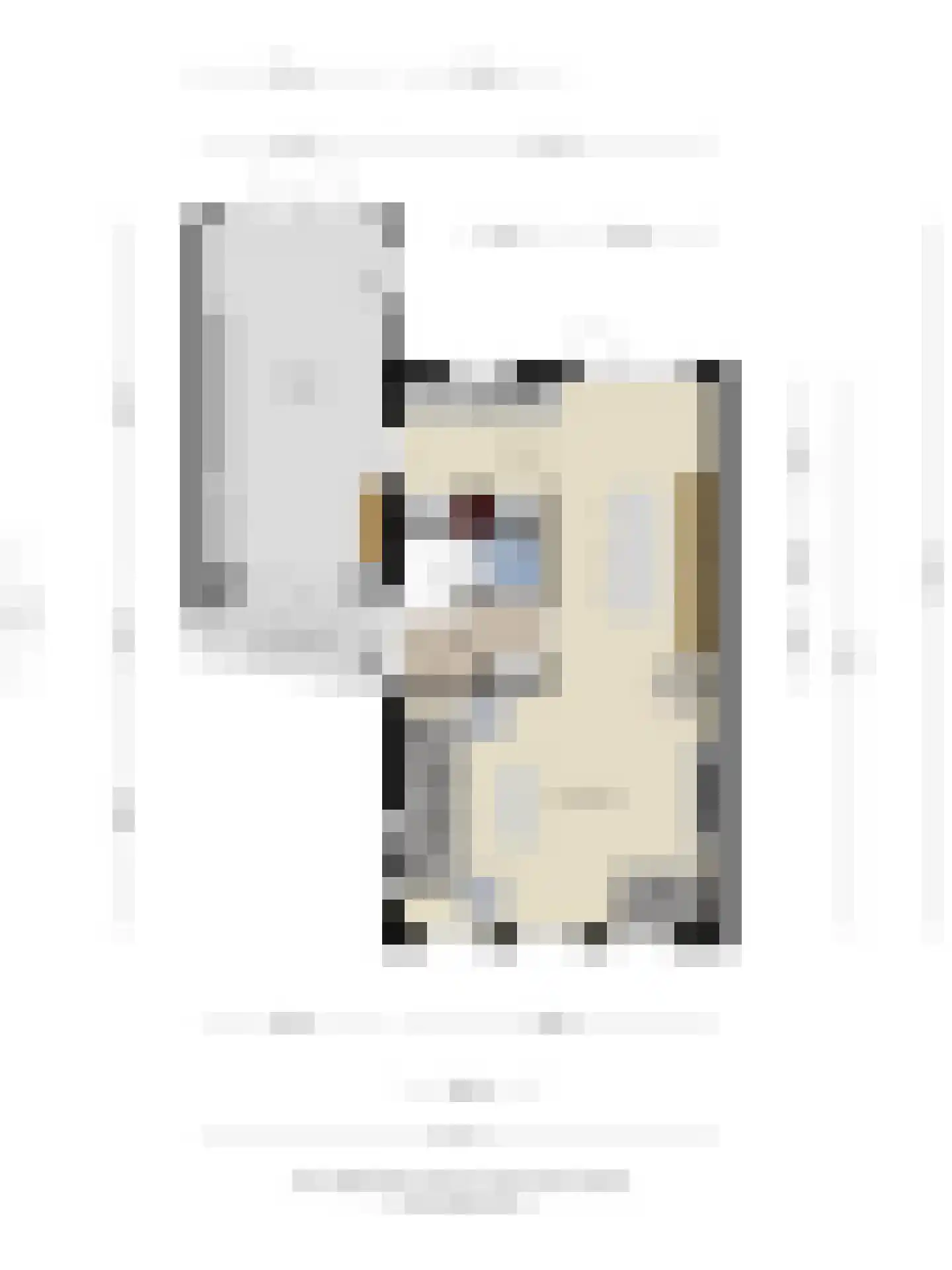 Kronkelbaan 18 Abbekerk thumbnail 45