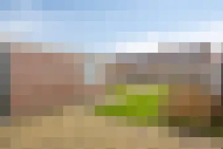 Kronkelbaan 22 Abbekerk thumbnail 33