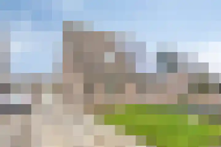Kronkelbaan 22 Abbekerk thumbnail 39