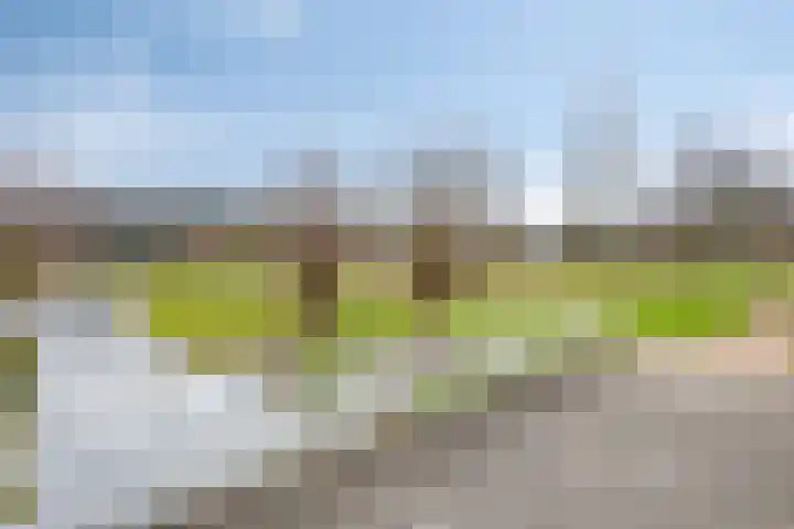 Kronkelbaan 22 Abbekerk thumbnail 45