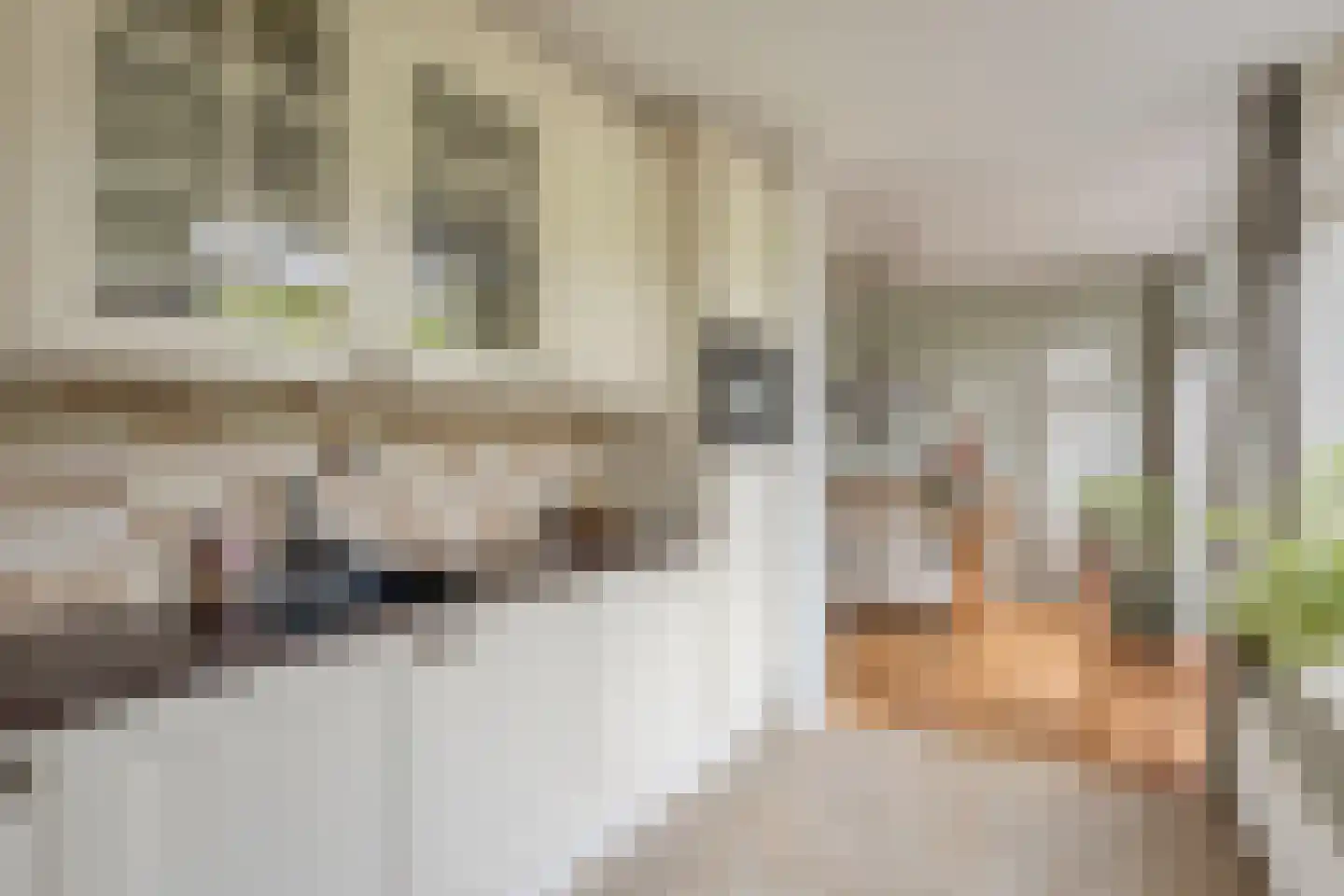 Kronkelbaan 25 Abbekerk thumbnail 11
