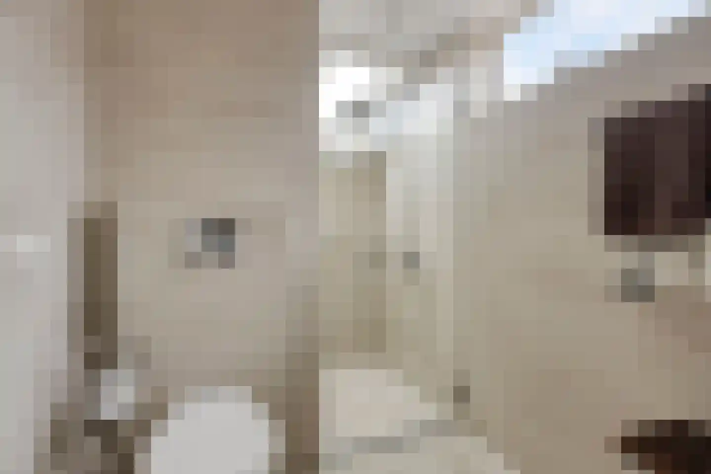 Kronkelbaan 25 Abbekerk thumbnail 16