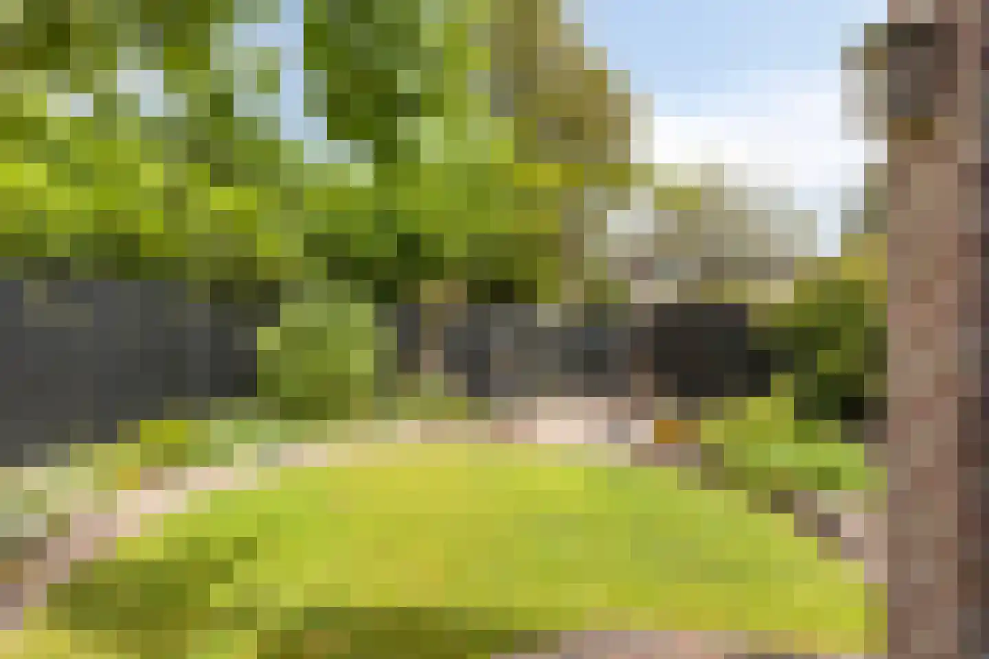 Kronkelbaan 25 Abbekerk thumbnail 24