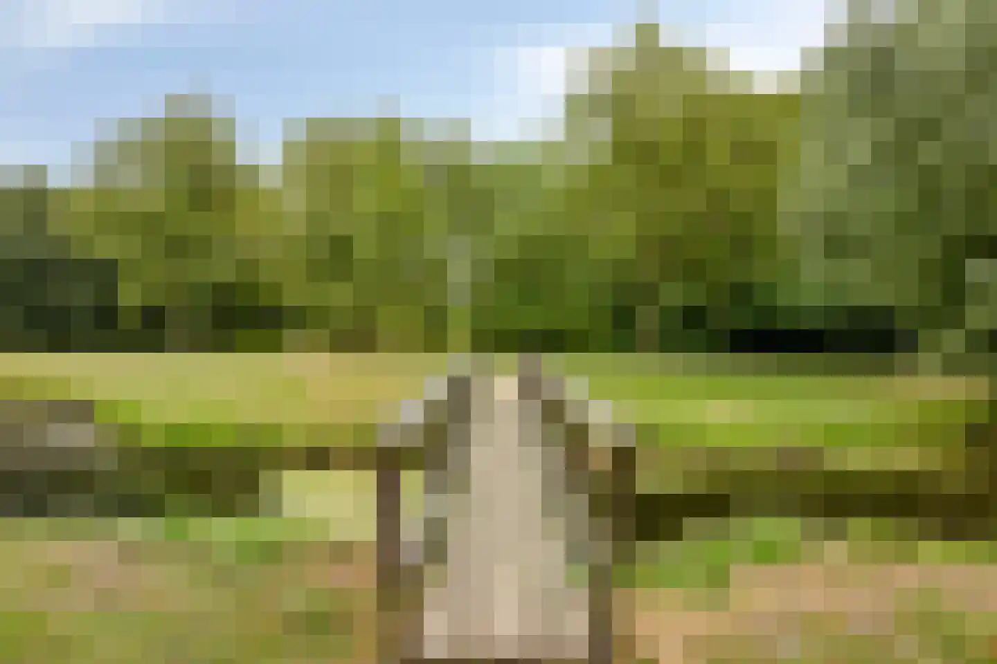 Kronkelbaan 25 Abbekerk thumbnail 28