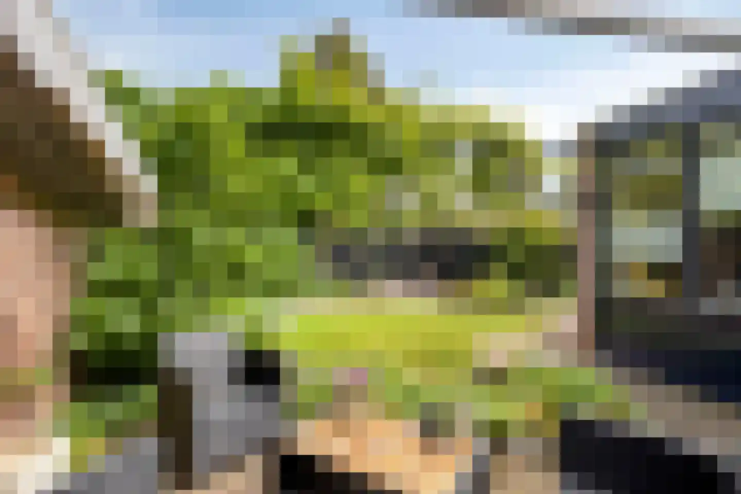 Kronkelbaan 25 Abbekerk thumbnail 4