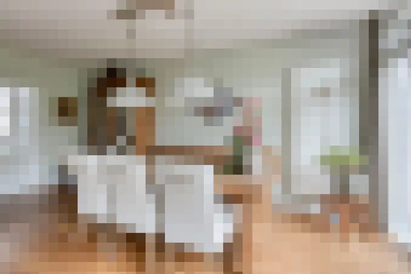 Kronkelbaan 25 Abbekerk thumbnail 8