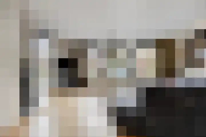 Kronkelbaan 32 Abbekerk thumbnail 11